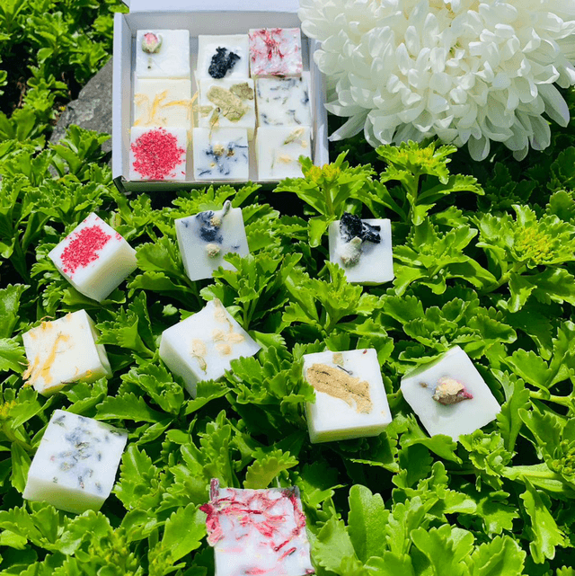 Botanical Wax Melt Box