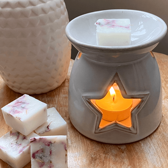 Star Wax Melt Burner 